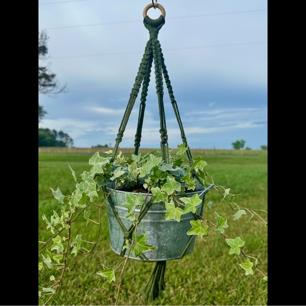 Macrame Plant Hanger